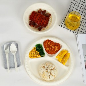 PLA-Material Kompostierbarer Einweg-Lebensmittelbehälter